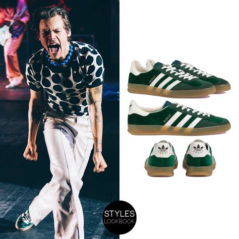 tenis gucci harry styles|Harry Styles new Gucci.